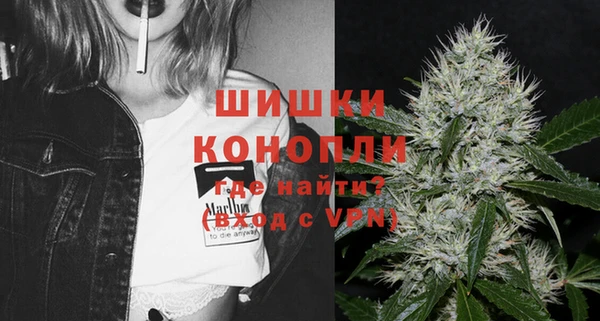 шишки Рославль
