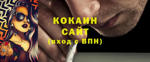 стафф Алексин